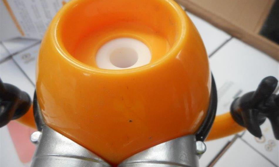 2018-1-11-1332Minions 1.jpg